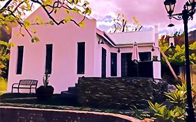 Pecan Tree Cottage